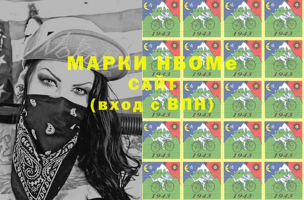 твердый Бородино