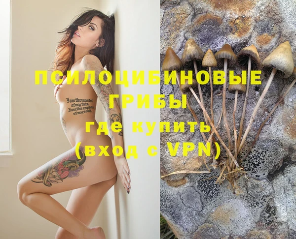 мескалин Семикаракорск