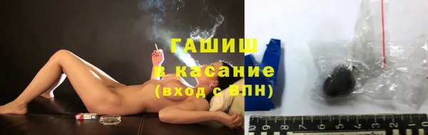 твердый Бородино