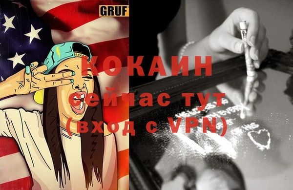 крисы Бронницы