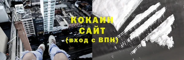 apvp Инсар